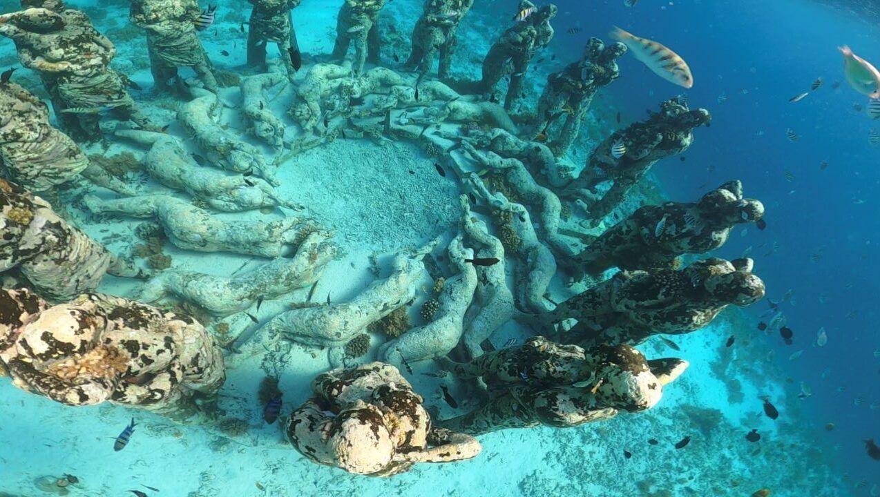vistas debajo del mar de una figuras en circulo con peces alrededor